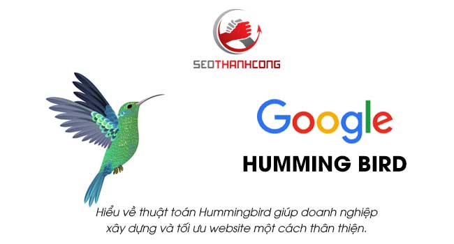 Hiểu về thuật toán Hummingbird giúp doanh nghiệp xây dựng và tối ưu hóa trang web