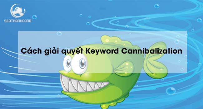 Keyword Cannibalization là gì & 6 lý do ảnh hưởng xấu đến SEO