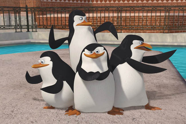 Cách khắc phục hình phạt Google Penguin là gì?