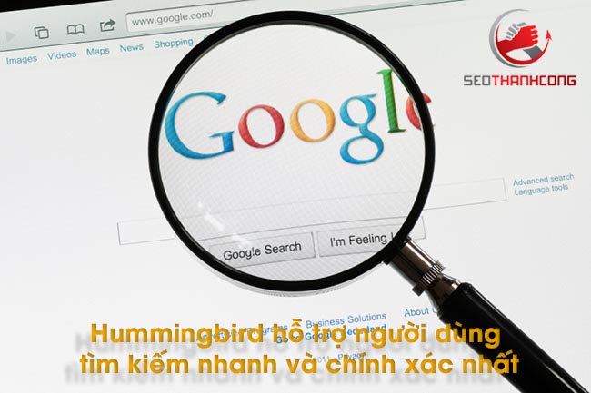 Hummingbird hỗ trợ người dùng tìm kiếm nhanh và chính xác nhất