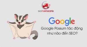 Thuật toán Google Possum là gì & ảnh hưởng đến Local Search như thế nào?
