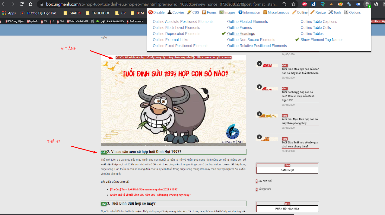 Tiện ích Web Developer 