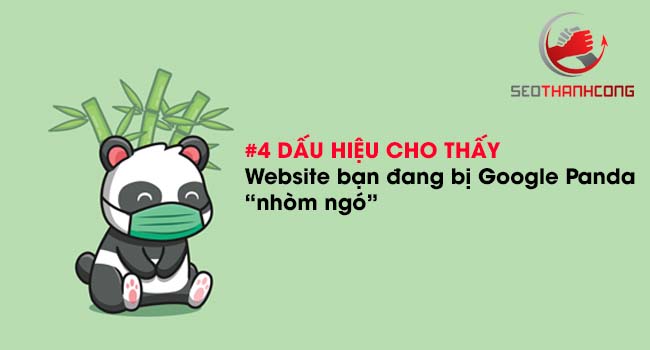 4 dấu hiệu cho thấy website của bạn đang bị thuật toán “Gấu trúc” nhòm ngó