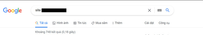 SEO Audit là gì? Cách kiểm tra URL đã được index chưa