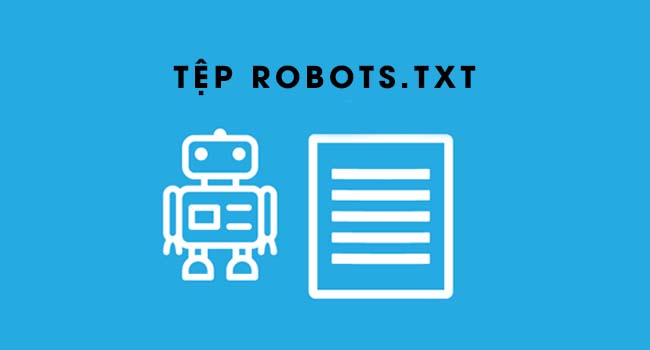 Tập tin robots.txt là gì? Robot.txt có tác dụng gì?