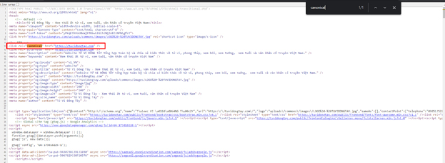 Canonical Link là gì? Cách kiểm tra bằng Source code 