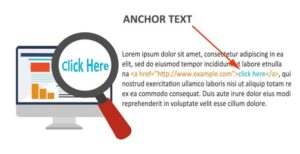 Anchor Text đóng vai trò gì/