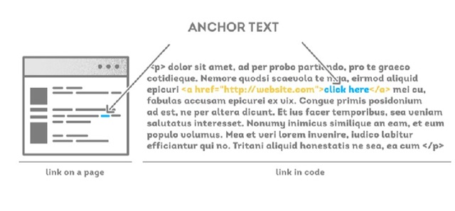 Các loại Anchor Text hiện nay