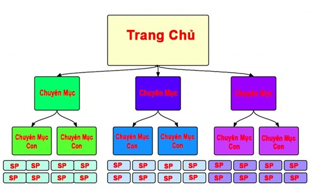 Cấu trúc Website chuẩn SEO: Hướng dẫn chi tiết từ A-Z