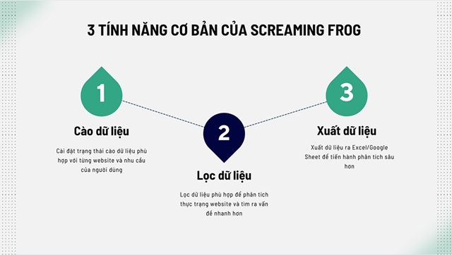 Phân Tích Kết Quả Crawl với Screaming Frog