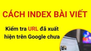 index bài viết là gì?