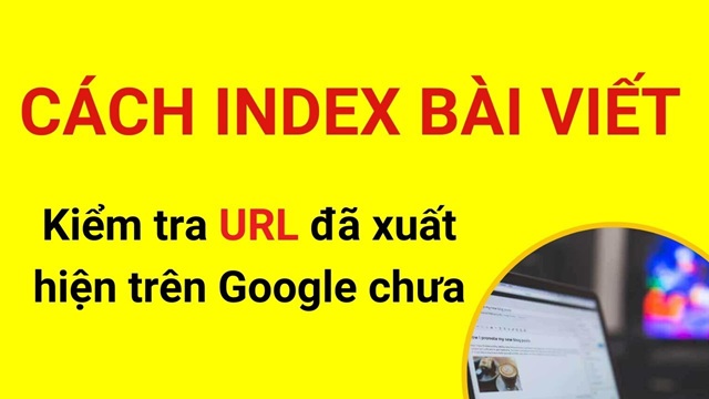 Kiểm tra bài viết đã index hay chưa đơn giản và chính xác