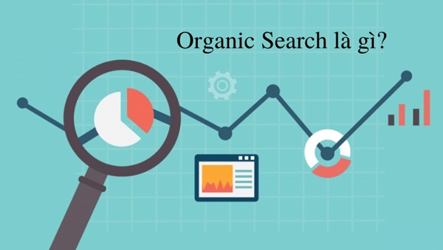 Organic Search là gì? Khám phá sức mạnh của tìm kiếm tự nhiên
