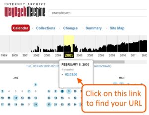 Sử dụng công cụ Wayback Machine