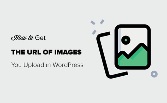 Tại sao Image URL lại quan trọng đối với SEO?